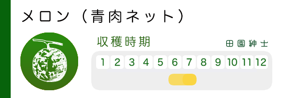 メロン