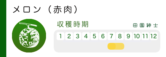 メロン